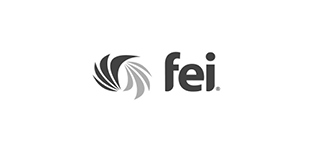 FEI &middot; Financial Executives International